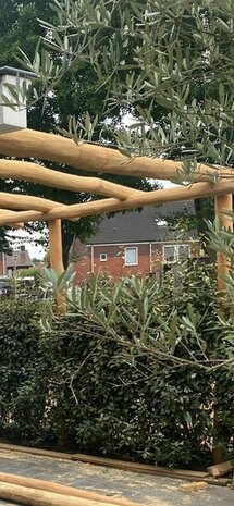 Remmers Tuinhoutolie Eco Leemgrijs FT20926